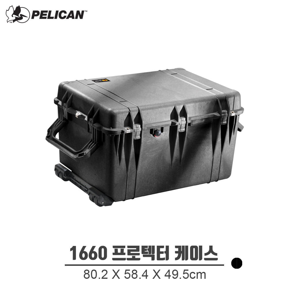 펠리칸 1660 프로텍터 케이스