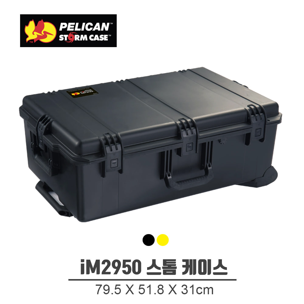 펠리칸 IM2950 스톰 케이스