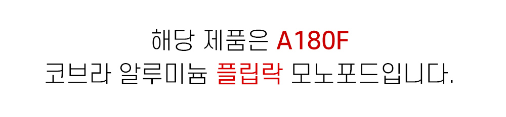 악세사리 상품 이미지-S2L2