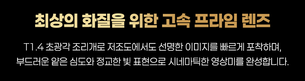 [DZOFILM] 디조필름 ARLES PRIME 14mm T1.6 프라임 시네 렌즈 / PL마운트 아를 프라임 DZO-SAP14IPL