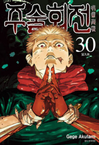 주술회전 30
