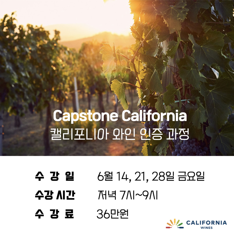 캡스톤 캘리포니아 와인 인증 과정 (6월 14, 21, 28일 저녁 7시~9시)