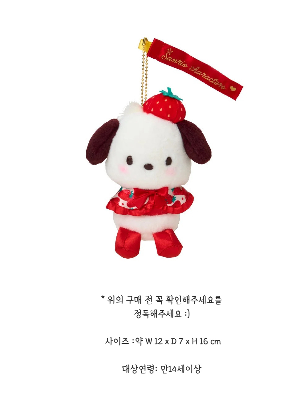 QYマステ　푼푼더기❤️0522 산리오 이치고 신문 50주년 딸기 이치고 마스코트 포챠코 - 르아즈