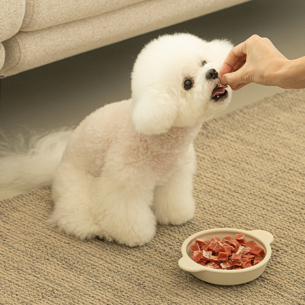 Korean Bichon Dog Jinju Bichon Frise 자사몰단독] 생선 선물세트 5종