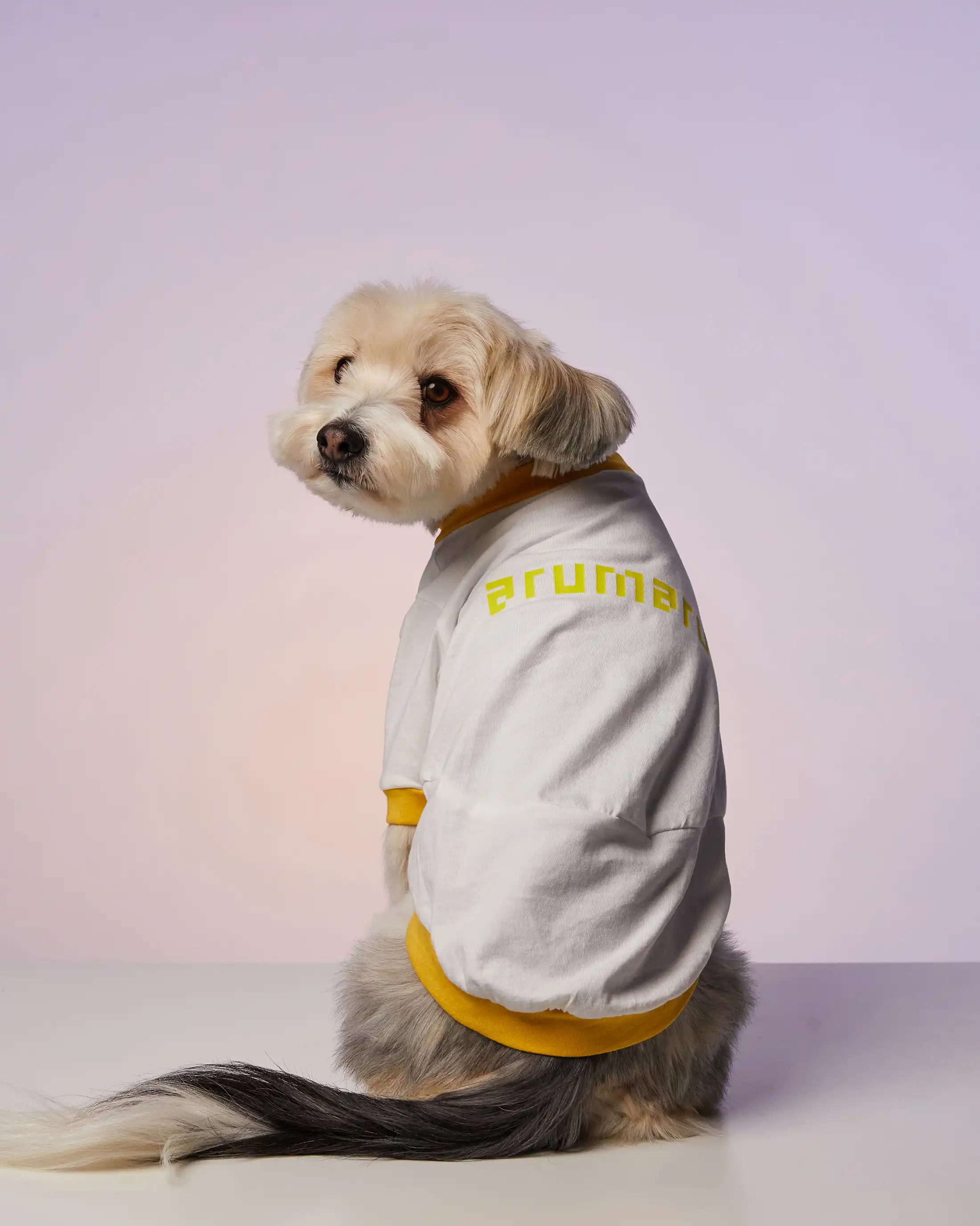 Emblem cardigan