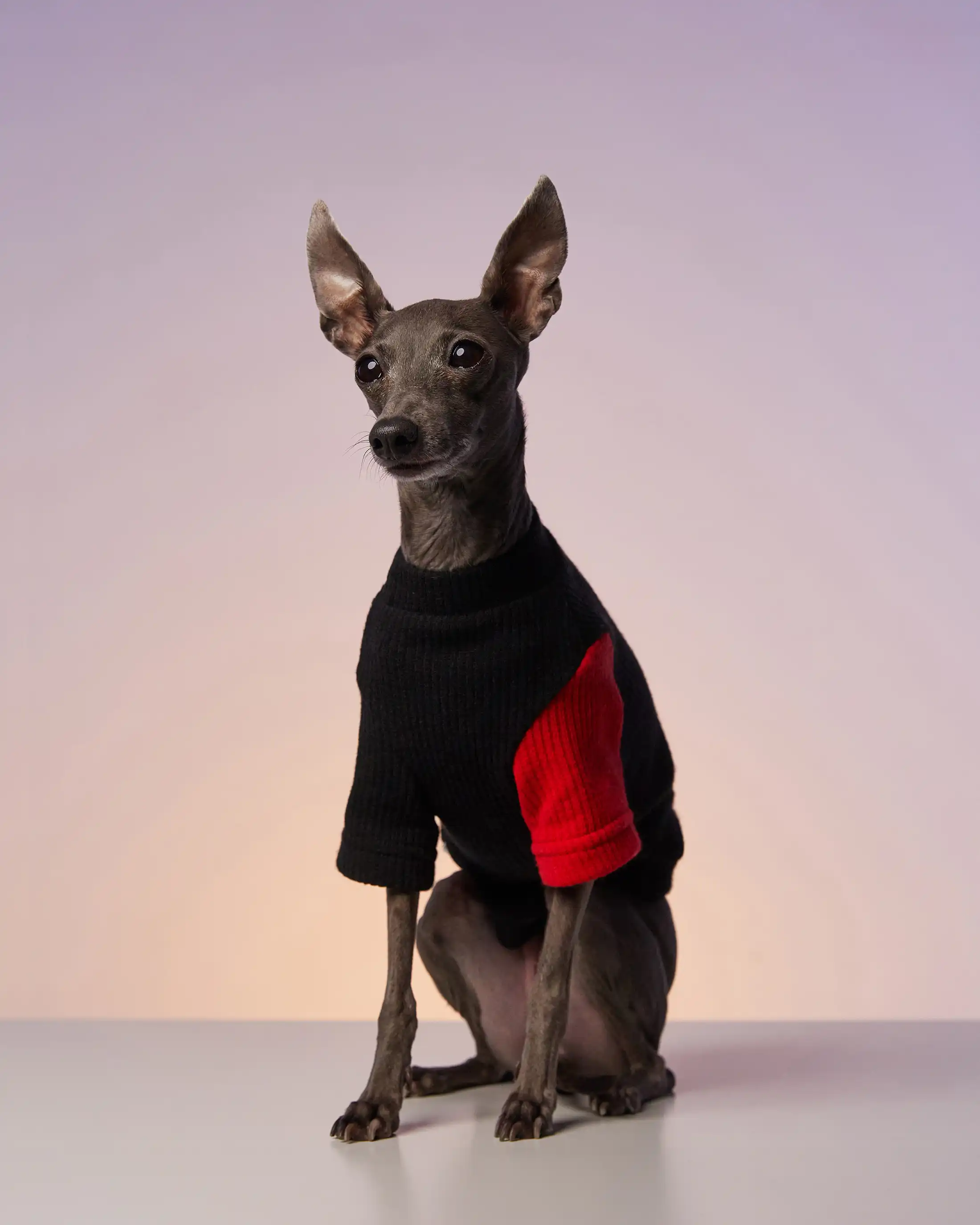 Emblem cardigan