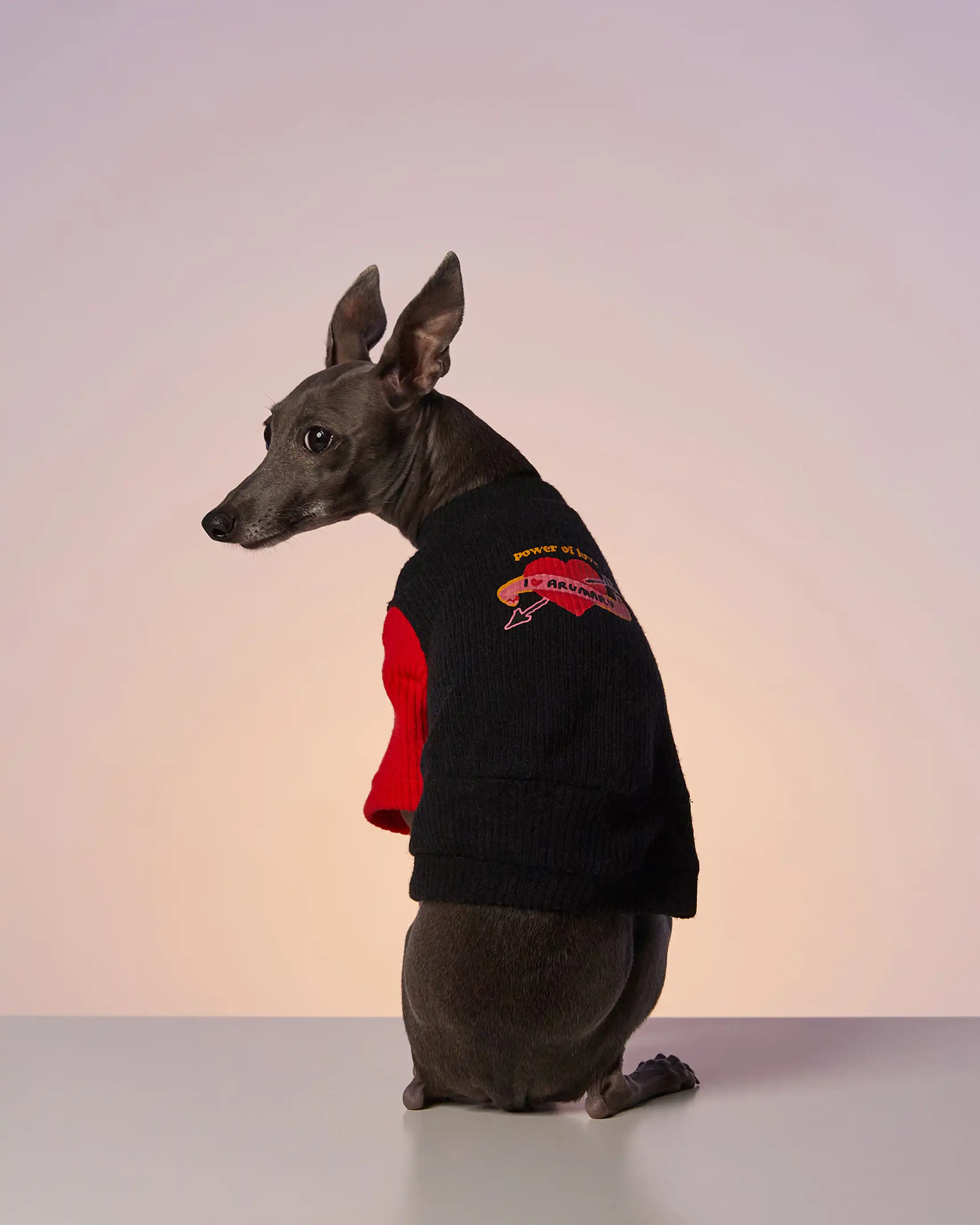 Emblem cardigan