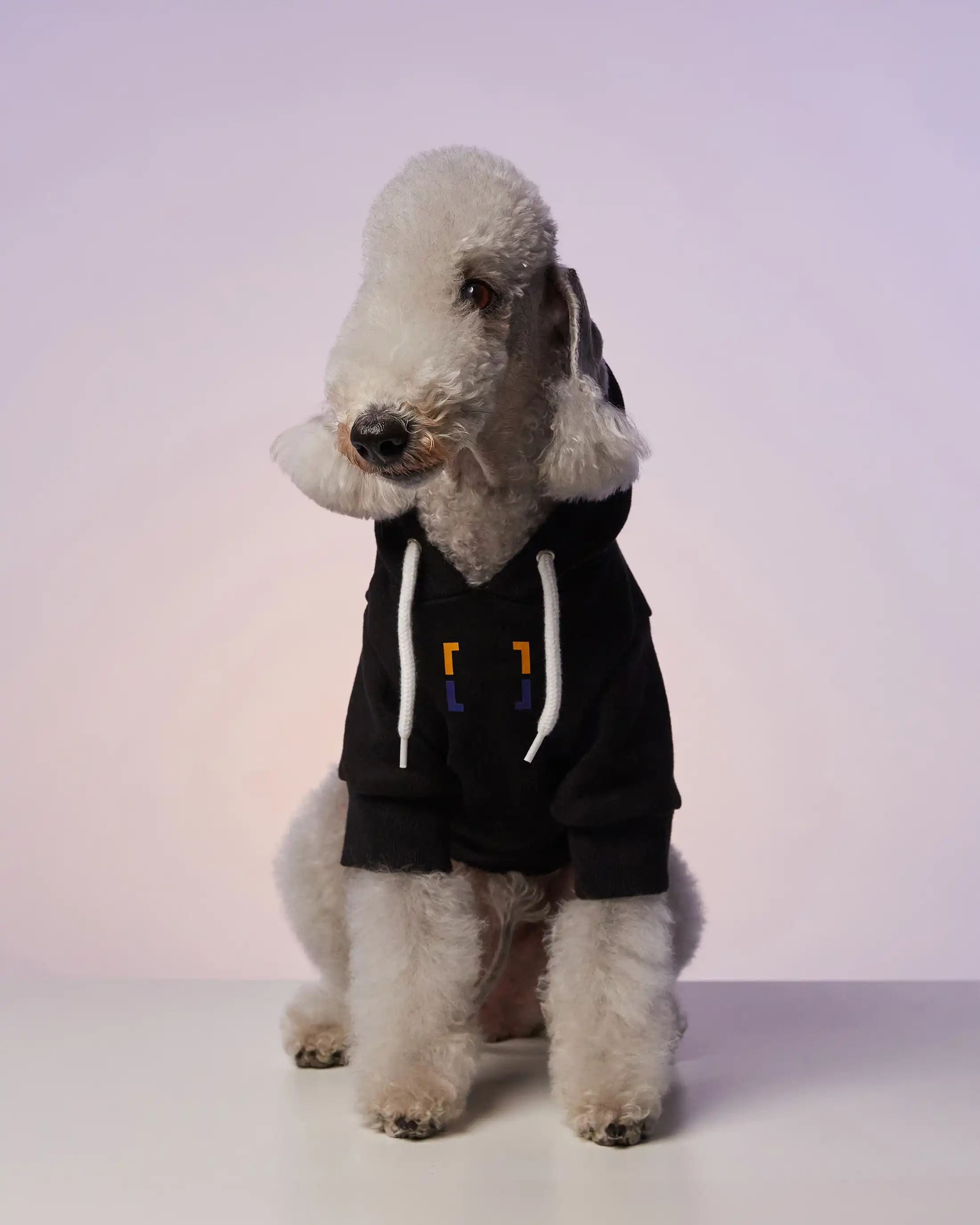 Emblem cardigan