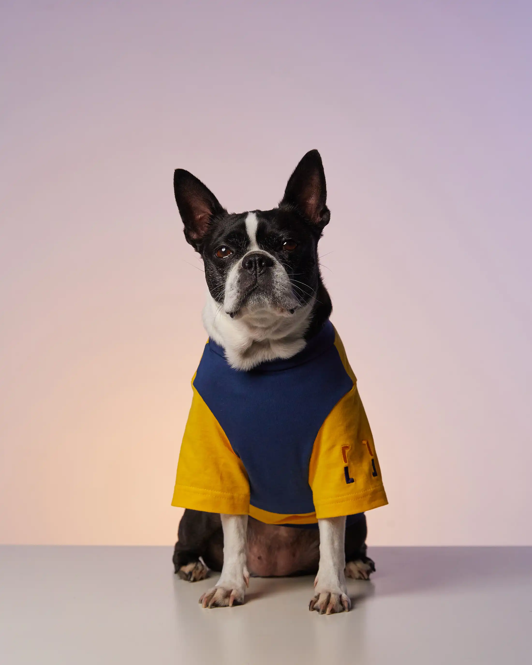 Emblem cardigan