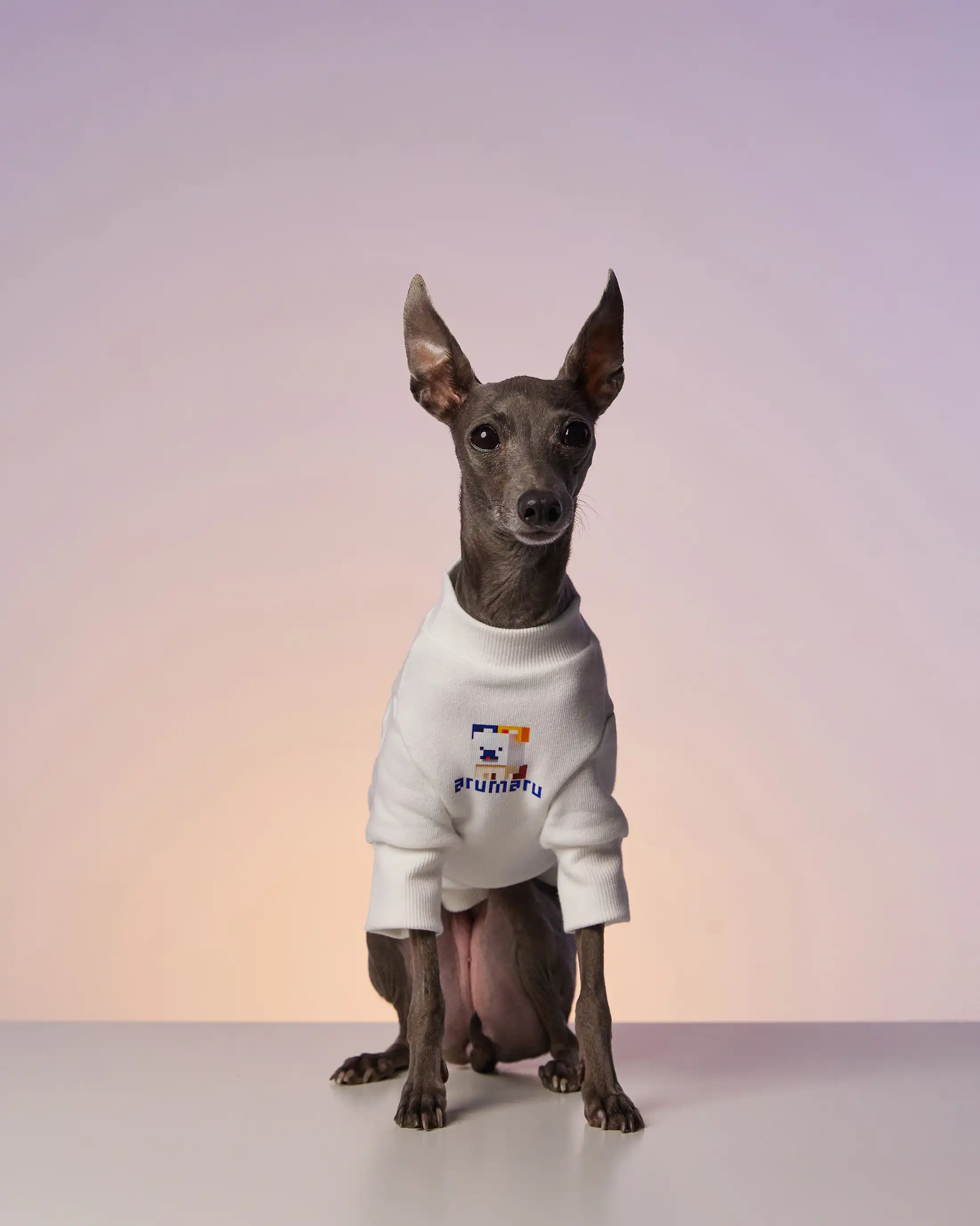 Emblem cardigan