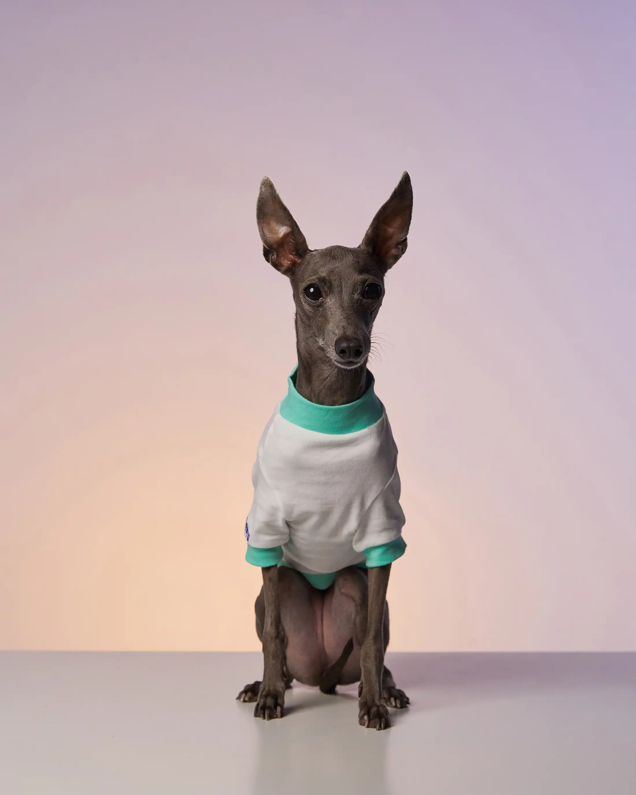 Emblem cardigan