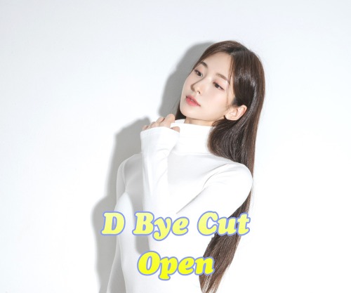효쁘 x 디바이컷 공구