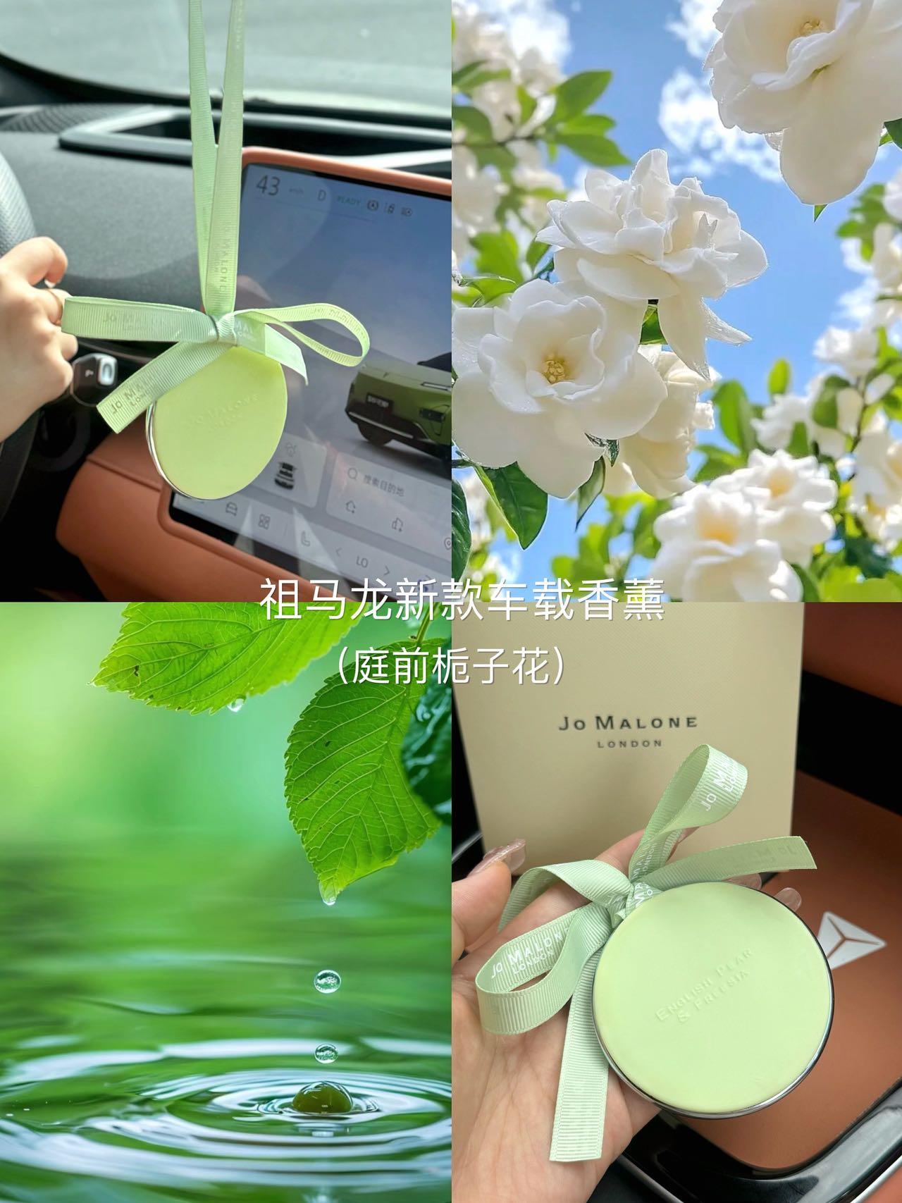 ff72ad9fe2134ae6c2f47b835a3e329b.jpg