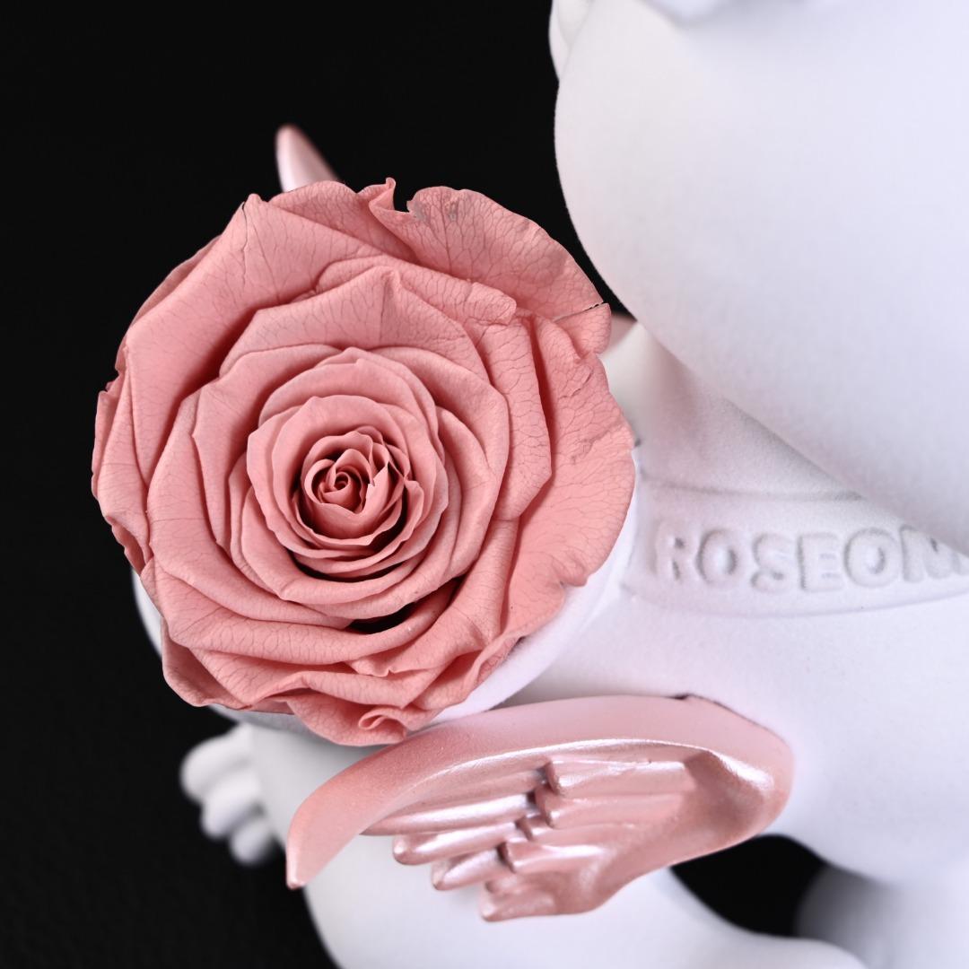 8f39da37f294be4162c13dcf28f36bdd.jpg