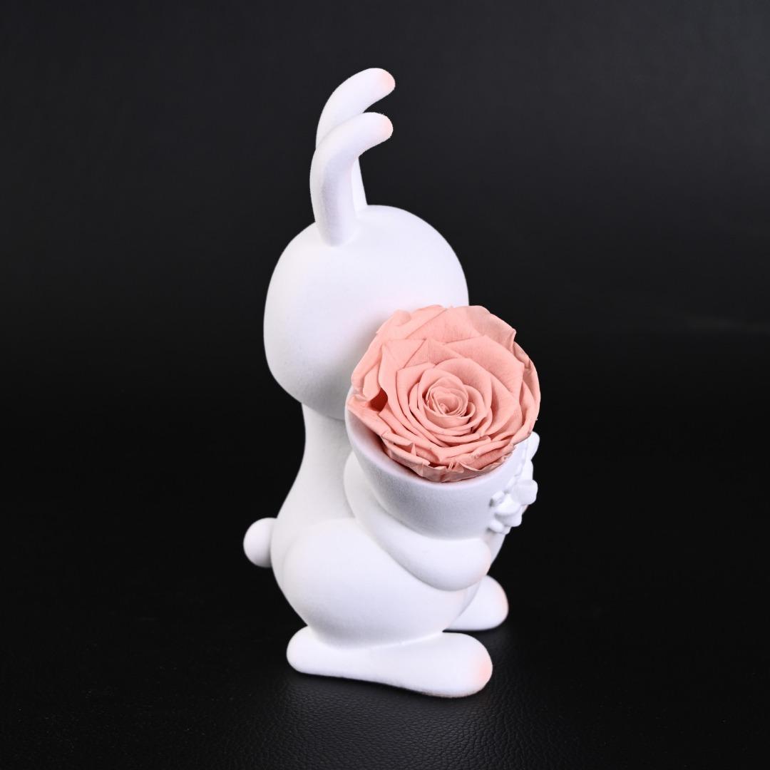 efba78b38513c64f307e401ada4de92a.jpg