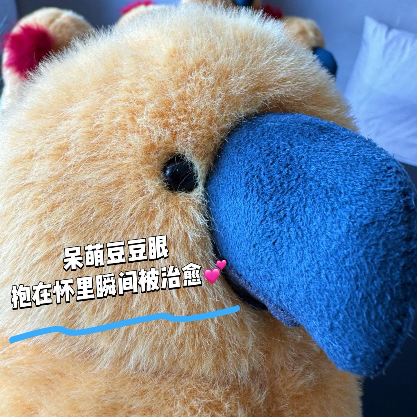 a98c12b1b219e223939e53ce26cdc3b0.jpg
