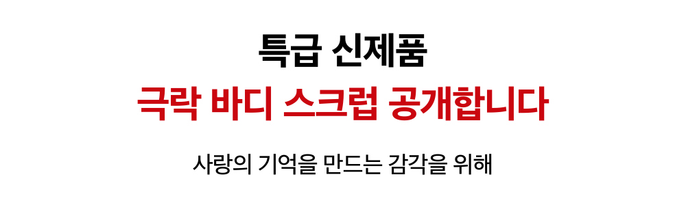 악세사리 상품 이미지-S55L11
