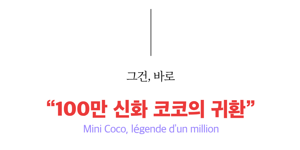 악세사리 상품 이미지-S12L4