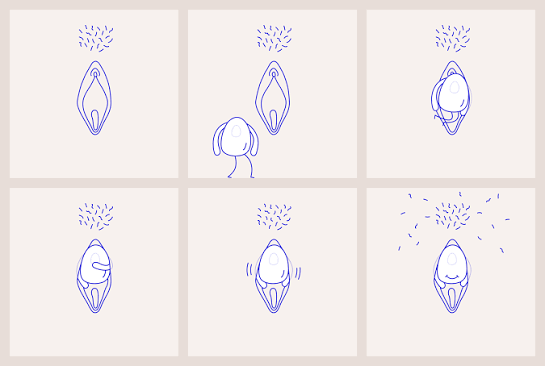 Six-panel illustration of the Dame Eva wearing sequence — bringing it to the body, seating it over the clitoris, hooking both wings into place, then switching the vibration on