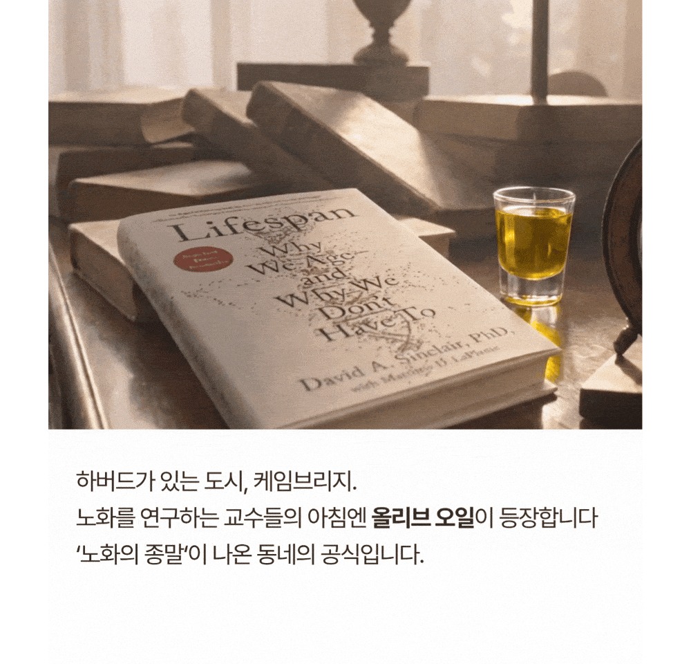 악세사리 상품상세 이미지-S16L1
