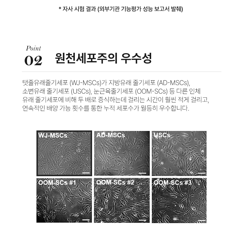 악세사리 상품 이미지-S1L10