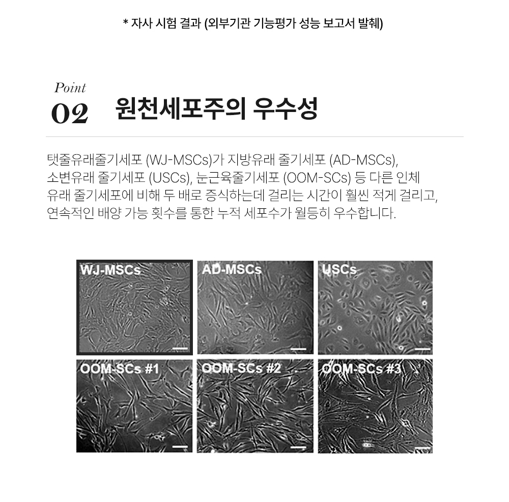 악세사리 상품 이미지-S1L11