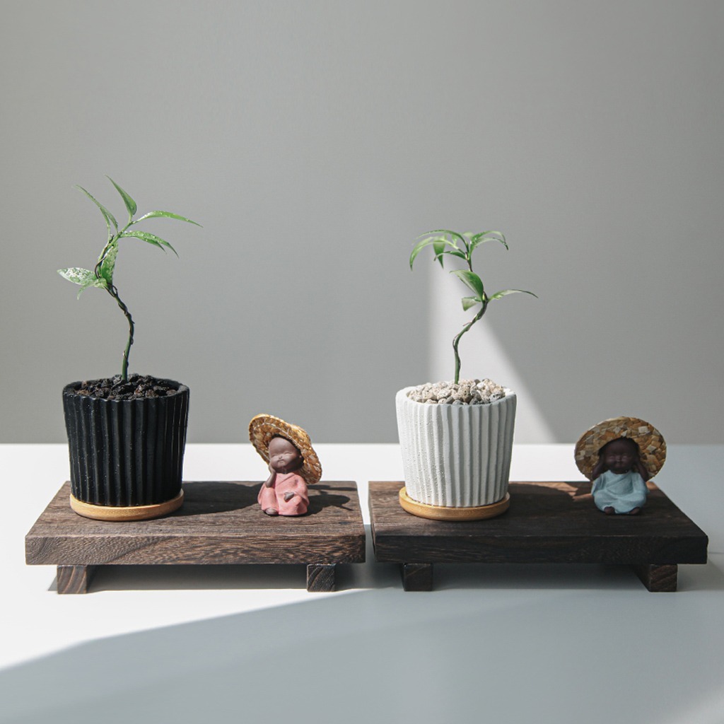 퓨처테리어 | 죽백나무분재 에코리플 스툴세트