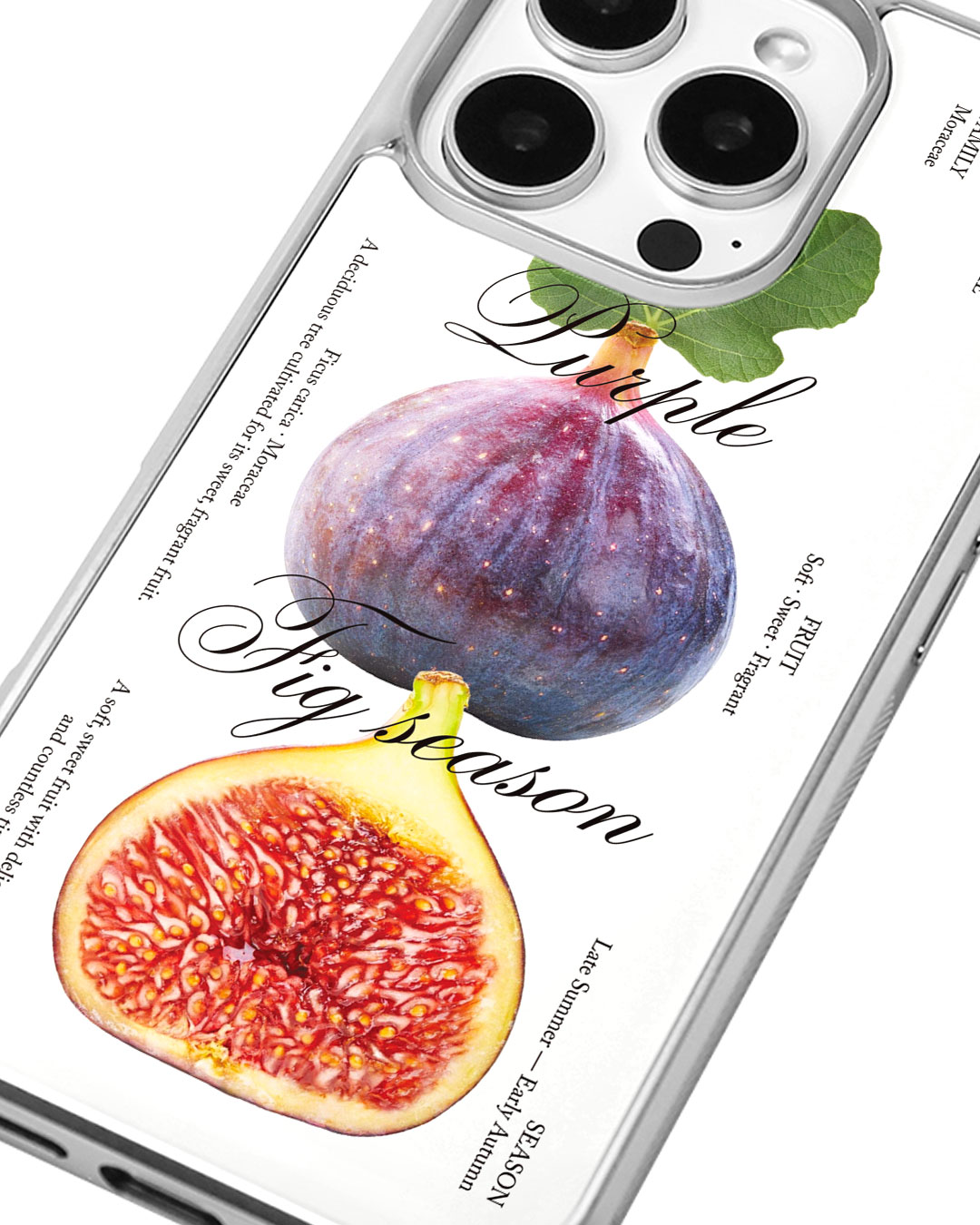 fig Bumper Case