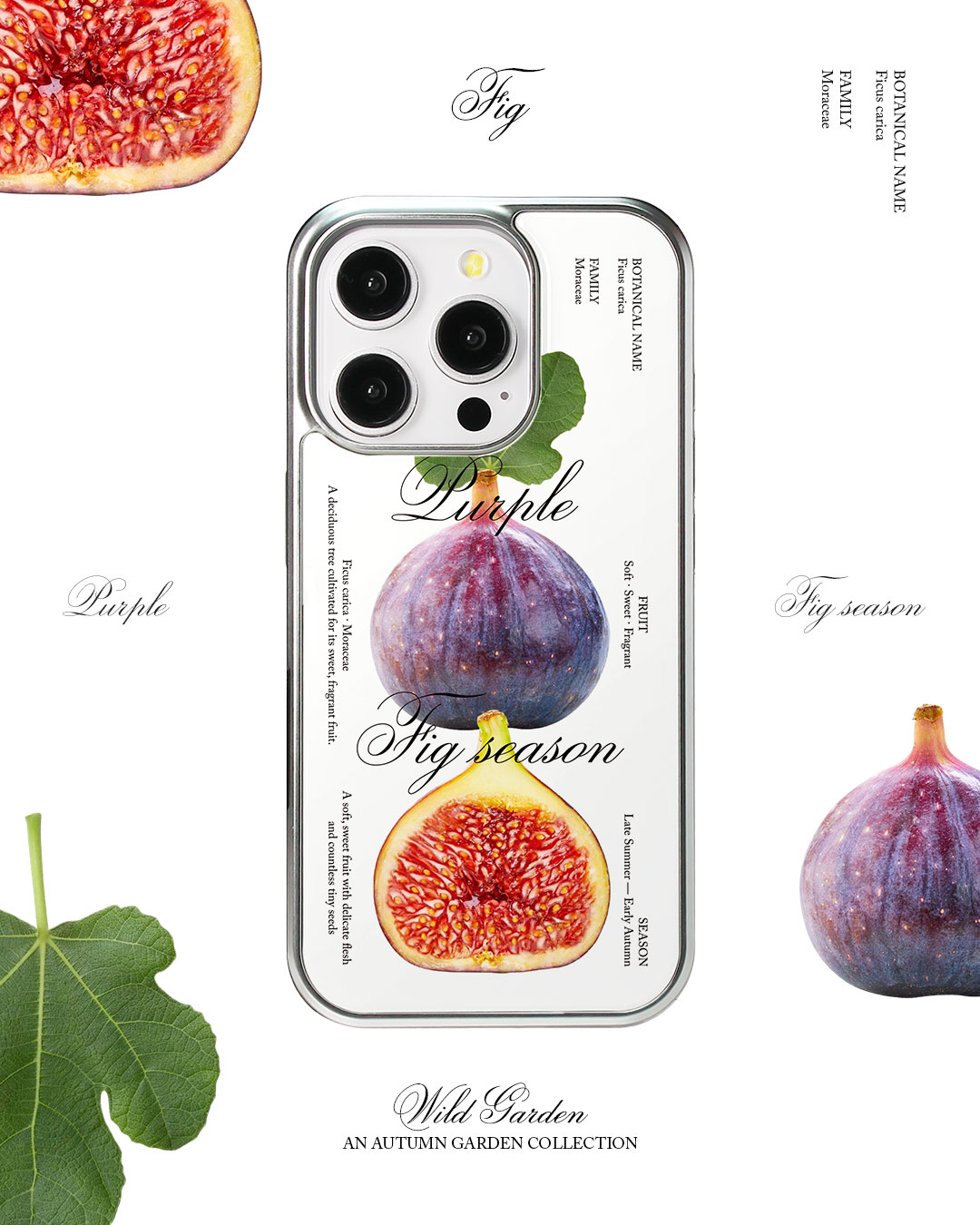 fig Bumper Case