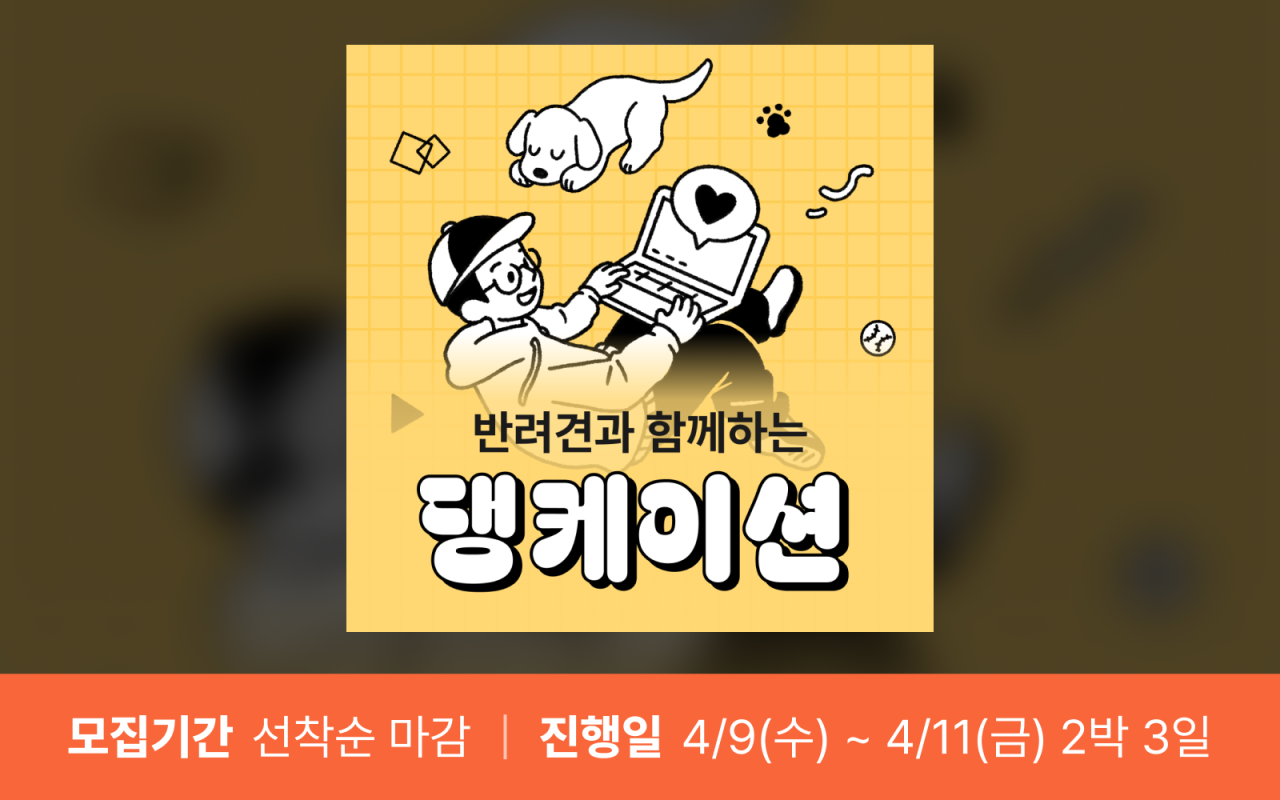 반려견과 함께하는 전주 댕케이션 (마감)