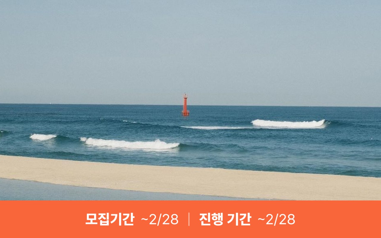 파도살롱 워케이션 프리패스 (마감)