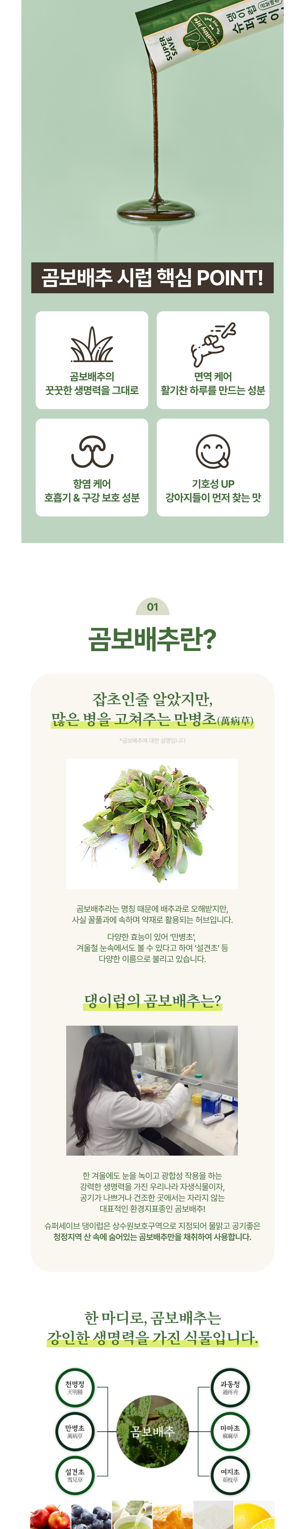 악세사리 상품상세 이미지-S1L5