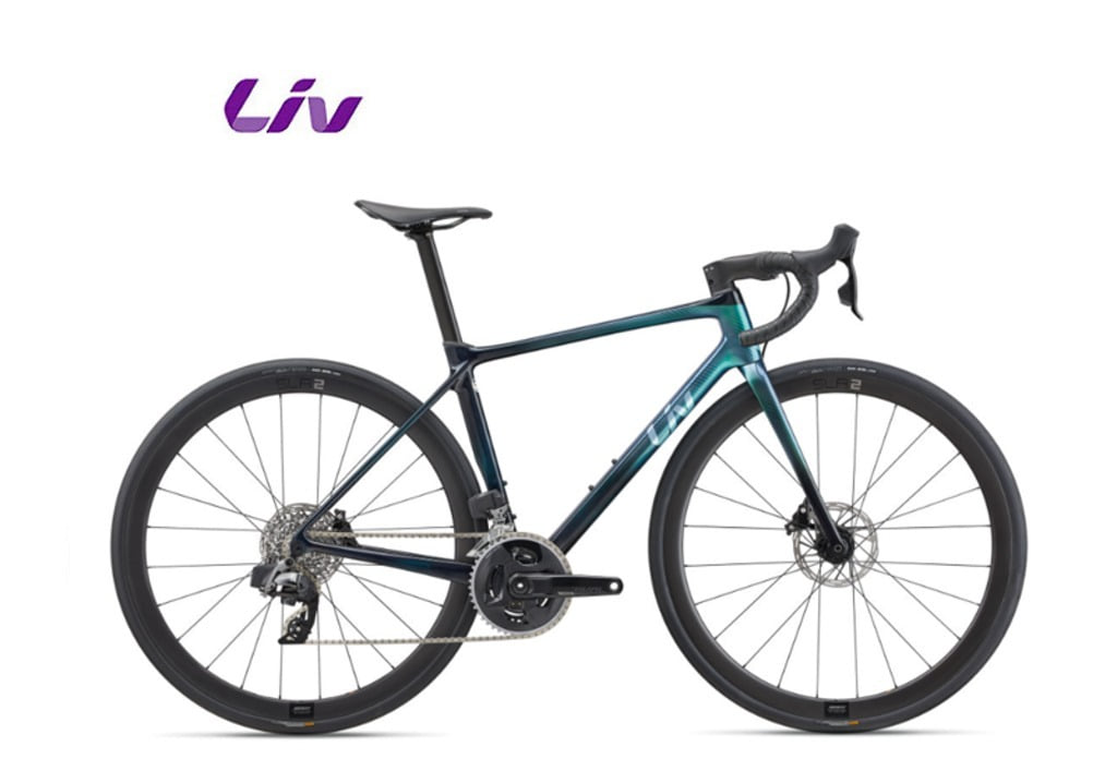 2022 리브 랑마 어드밴스 프로 디스크 1 AR  /  Langma Advanced Pro 1 Disc-AR