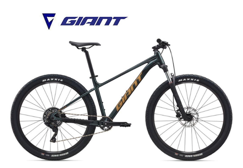 2026 자이언트 타론 2 / Talon 29 2 S Asphalt Green