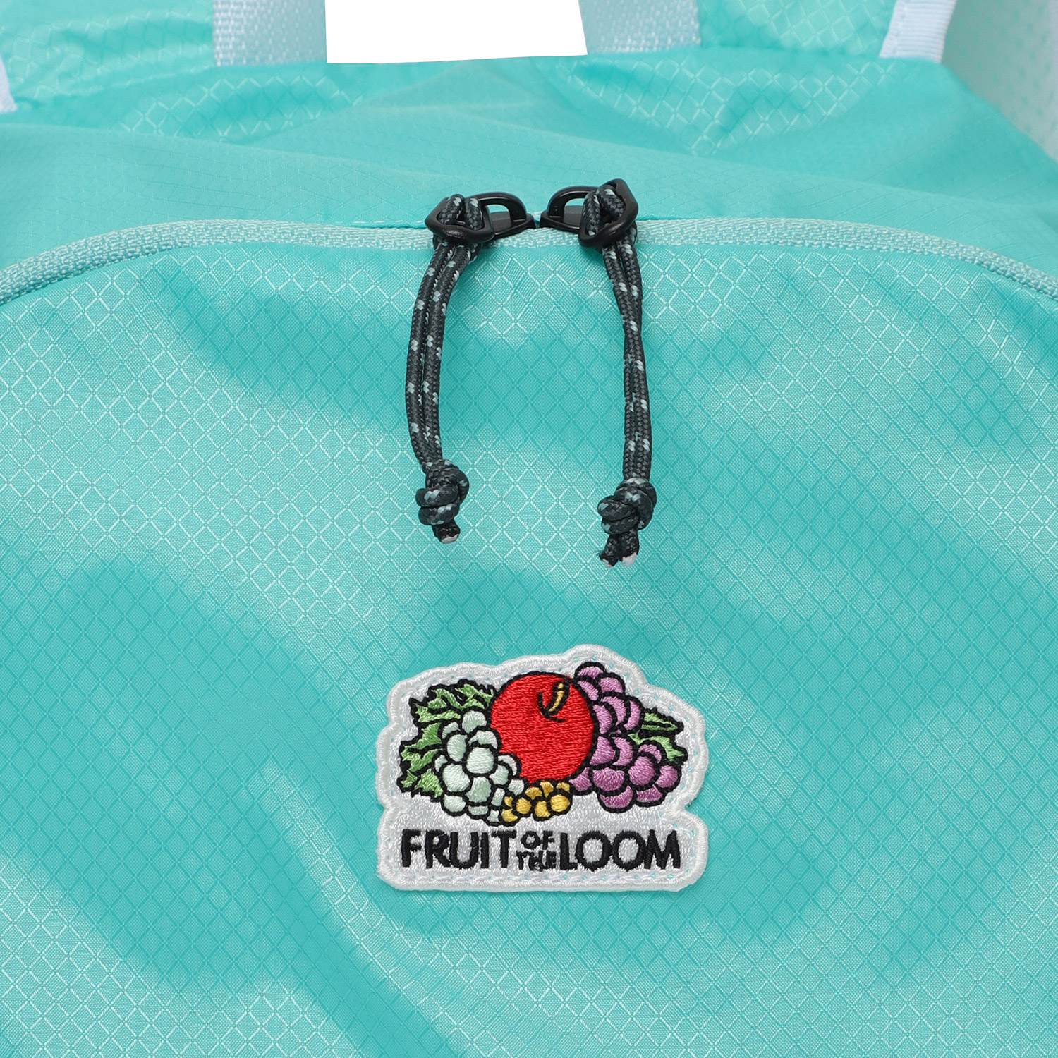 프루티 패커블 솔리드 백팩 (민트) | fruit of the loom