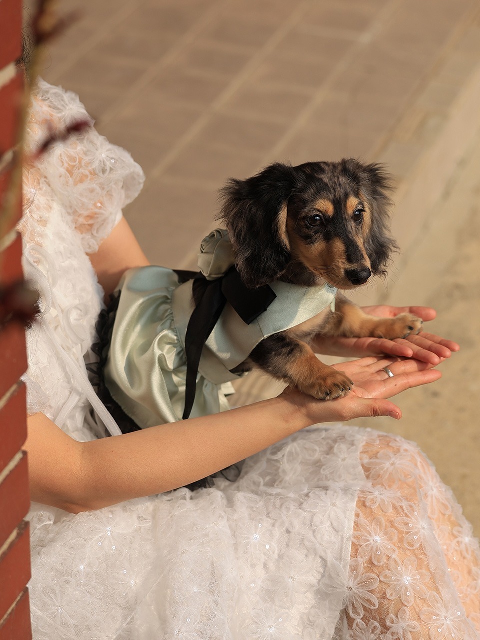 Paws Rose Bouquet Dress_mint - 가니송
