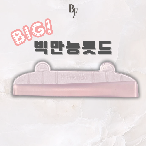빅만능롯드