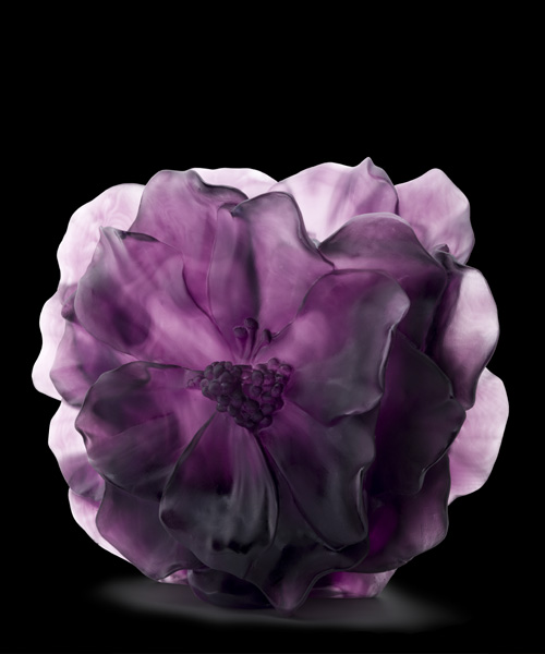 카멜리아 바스 GM