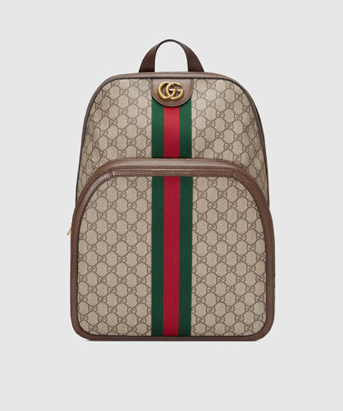 [오피디아] 미디엄 사이즈 GG 백팩