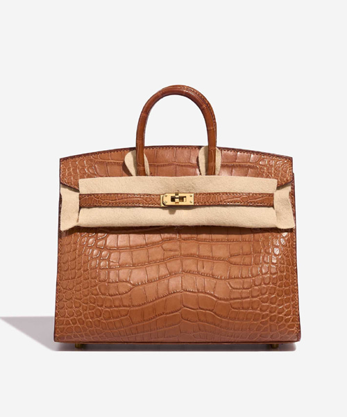 버킨 20 엘리게이터