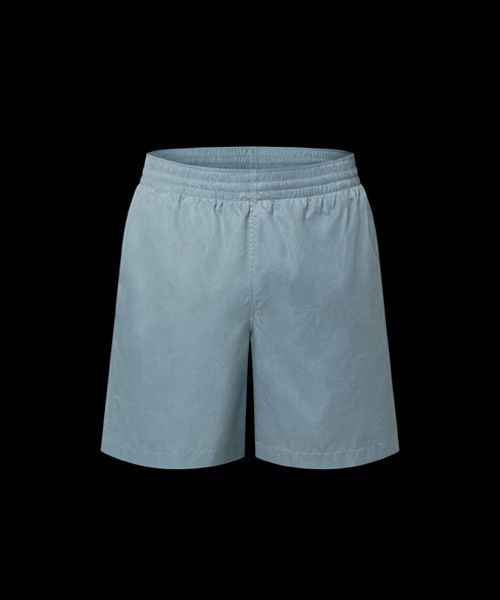 다미에 스윔 쇼츠