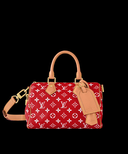 SPEEDY P9 반둘리에 25