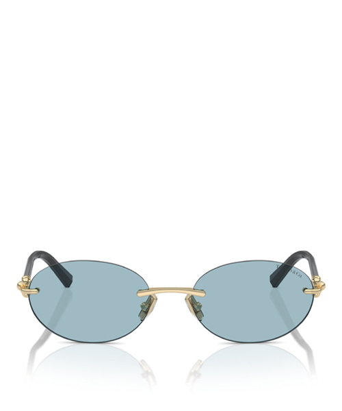 Tiffany & Co TF3104D 선글라스