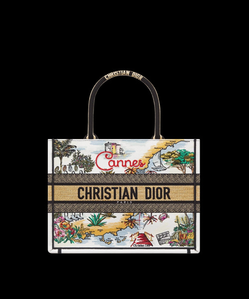DIOR SOUVENIR DIOR BOOK TOTE 미디엄 백