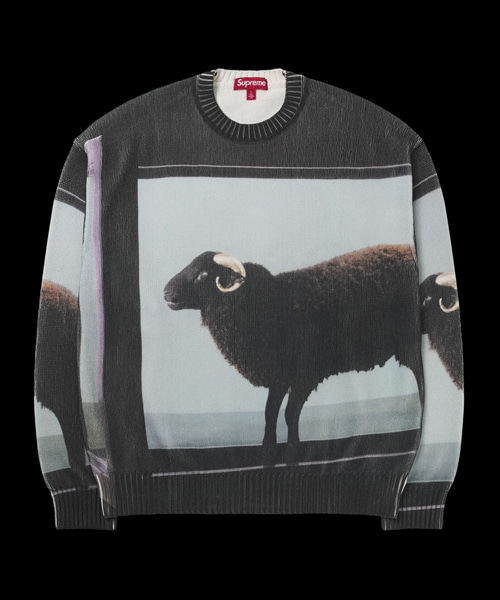 x DAMIEN HIRST그래픽 자수 스웨터