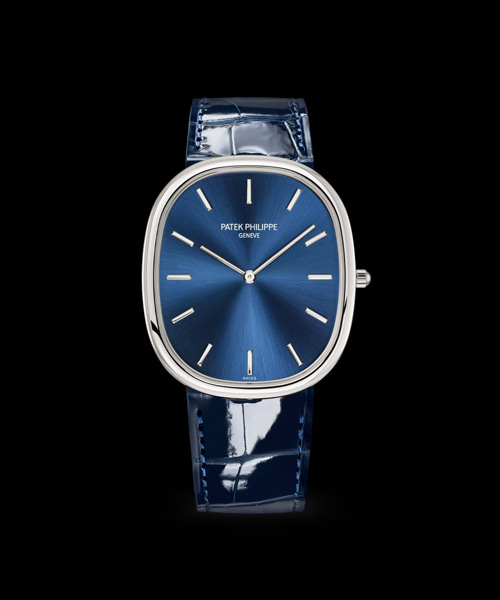 골든 엘립스 5738P-001 (플래티넘)