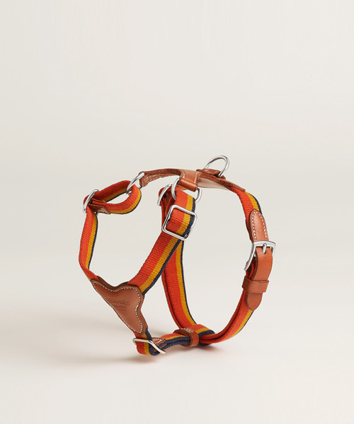 ROCABAR 반려견 목걸이 하네스 세트