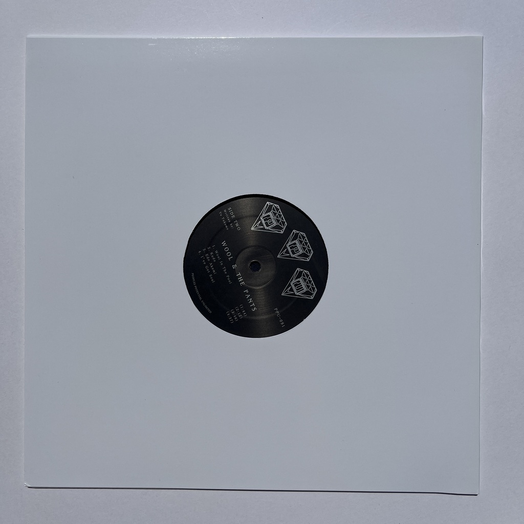 STRETCH PROMO | WOOL & THE PANTS - WOOL IN THE POOL (LP) STRETCH PROMO | WOOL & THE PANTS - WOOL IN THE POOL (LP)