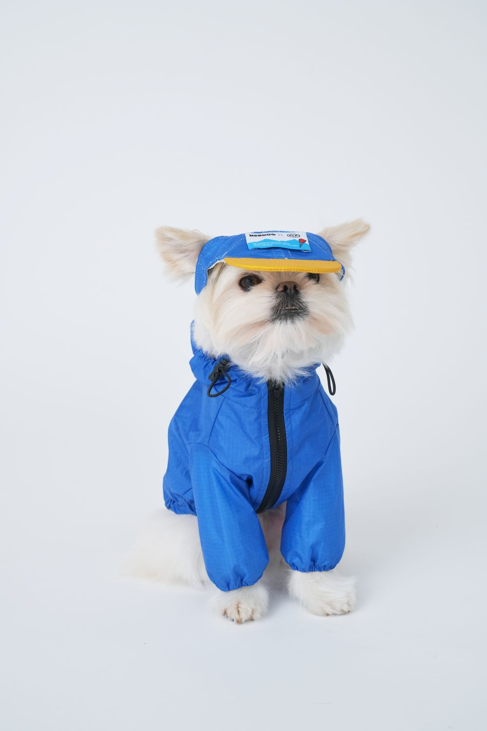 악세사리 모델 착용 이미지-S2L18