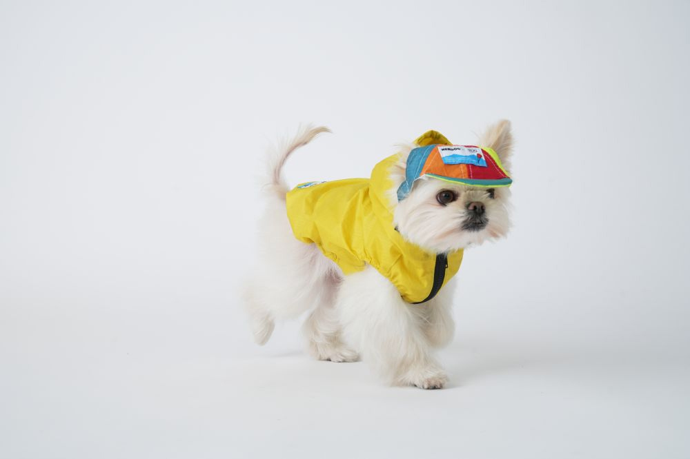 악세사리 모델 착용 이미지-S2L4